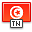flag_tunisia icon