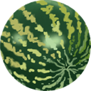 water-melon icon
