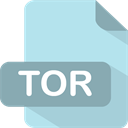 TOR icon