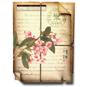 Secret_Garden_Oriental2_Document icon