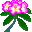 RhododendronM icon