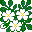 RosaMultiflora icon
