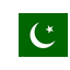 Pakistan icon