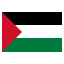 Palestine icon