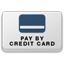 PEPSized_PayByCreditCard icon