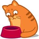 cat_hungry icon