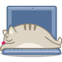 cat_laptop icon