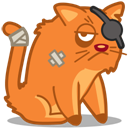 cat_pirate icon
